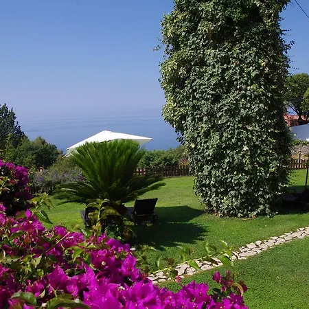Bed & Breakfast Nefer