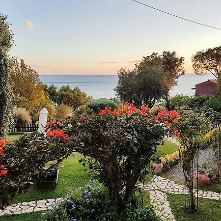 Bed & Breakfast Nefer