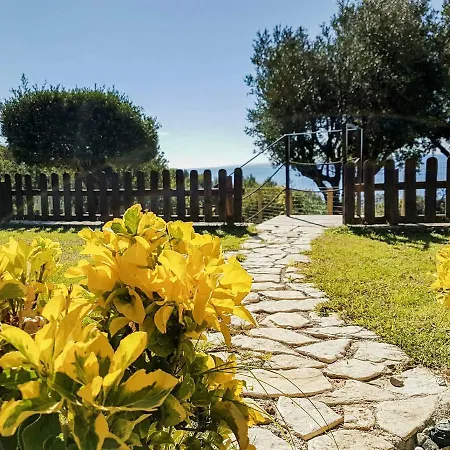 纳菲尔住宿加早餐酒店 住宿加早餐酒店 马拉泰亚