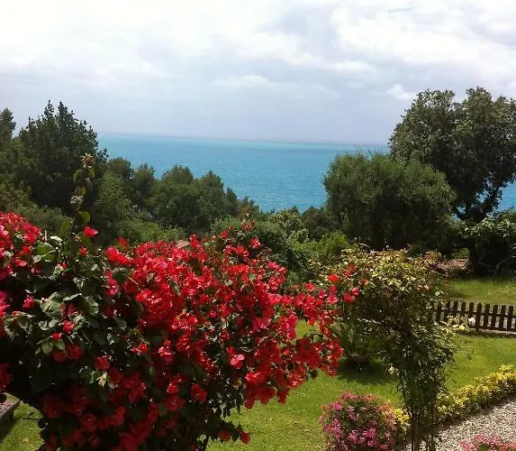 纳菲尔住宿加早餐酒店 住宿加早餐酒店