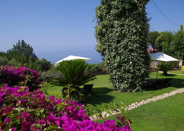 Bed & Breakfast Nefer